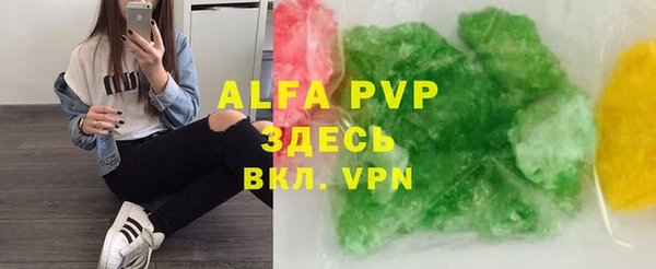 сатива Аркадак