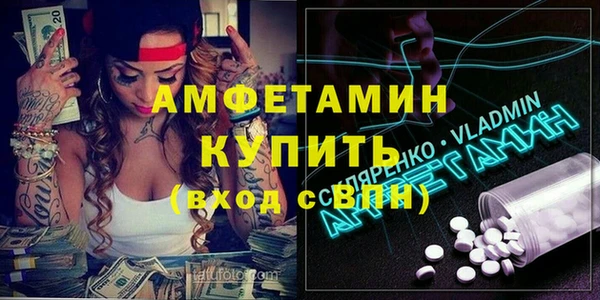 сатива Аркадак