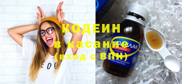 сатива Аркадак