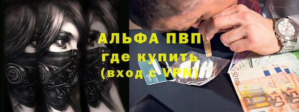 сатива Аркадак